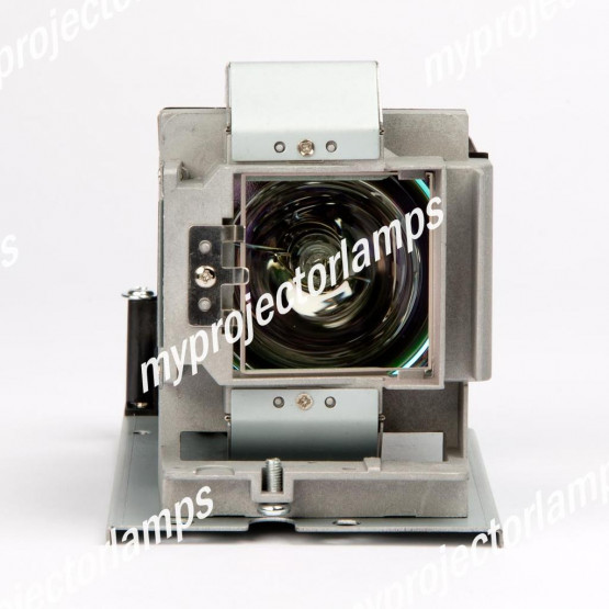 Benq EP5920 Projector Lamp with Module