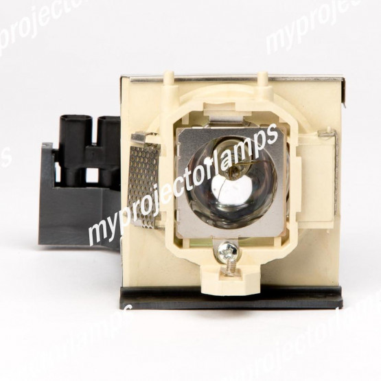 Benq PE5125 Projector Lamp with Module