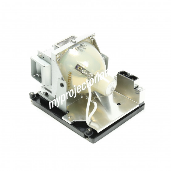 Benq SP840 Projector Lamp with Module 