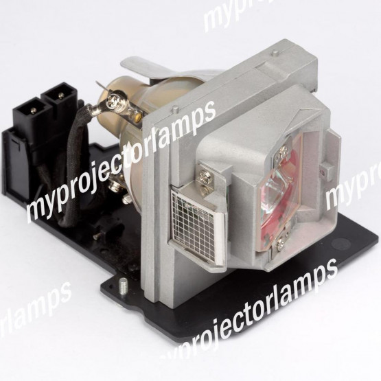 Dell 725-10127 Projector Lamp with Module