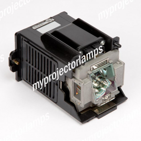 3D Perception 111-150 Projector Lamp with Module
