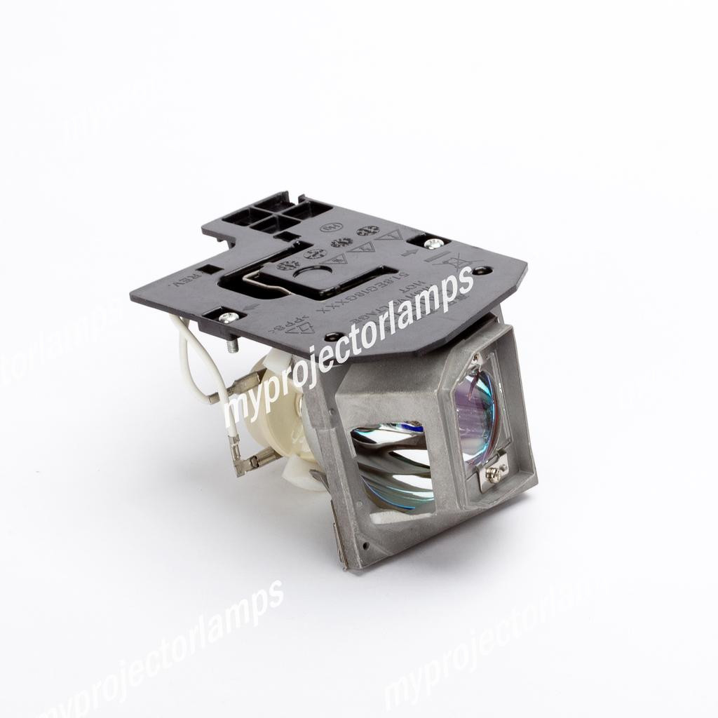 Optoma HD Projector Lamp with Module   MyProject ...