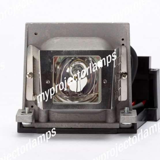 Mitsubishi TLPLS9 Projector Lamp with Module