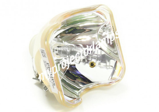 LG AF115 Lampe de Projecteur Nue