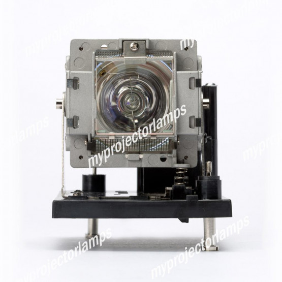 NEC NP04LP Projector Lamp with Module