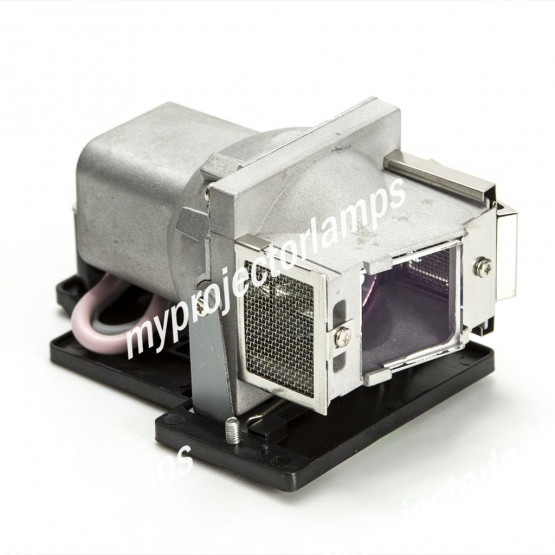LG DX325B Projector Lamp with Module