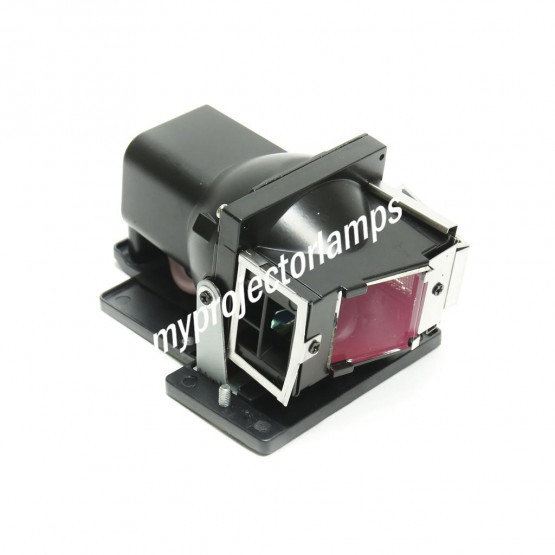 Optoma 5811118082-SOT Projector Lamp with Module