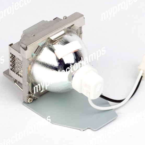 Viewsonic RLC-055 Projector Lamp with Module