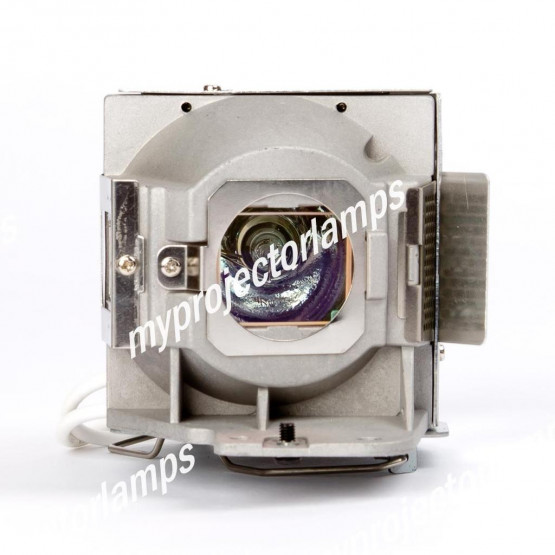 Viewsonic PJD7822HDL Projector Lamp with Module