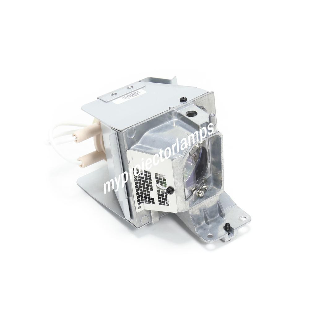Optoma DAEHHGL Projector Lamp with 