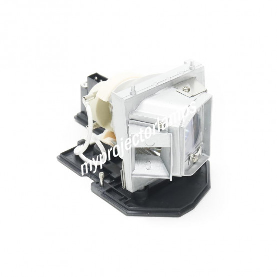 Smartboard 1025290 Projector Lamp with Module