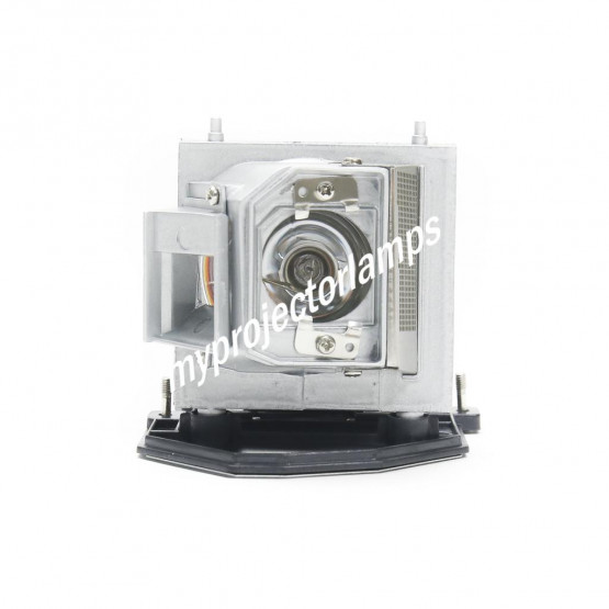 Smartboard V30 Projector Lamp with Module