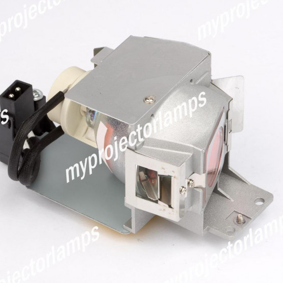 Viewsonic PJD5226w Projector Lamp with Module