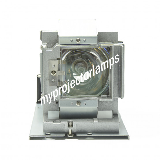 Vivitek 5811118924-SVV Projector Lamp with Module