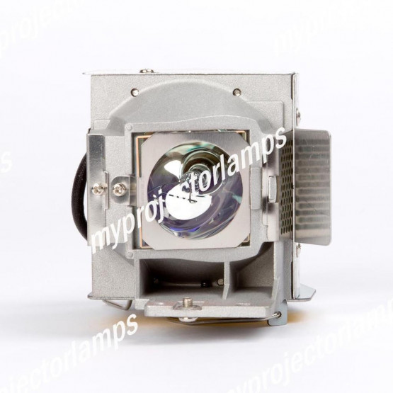 Viewsonic PJD5126-1W Projector Lamp with Module