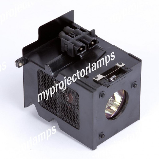 Benq HT480B Projector Lamp with Module