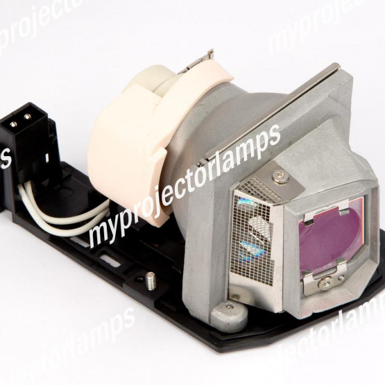 Lampe de Rechange pour OPTOMA HD86 BL-FP280C avec 12 Mois de Garantie 