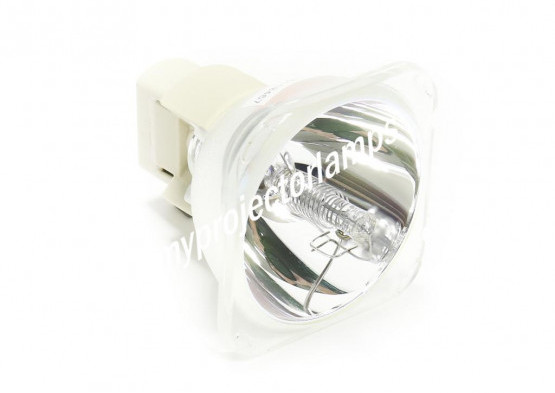Runco Light Style LS-10d Bare Projector Lamp