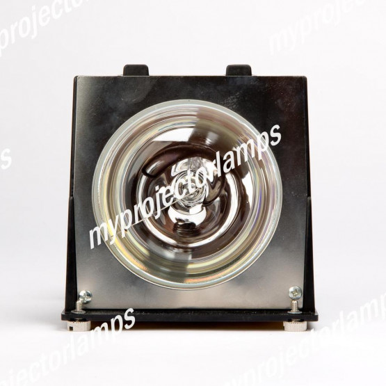 Clarity 151-1063 Lampu Proyektor dengan Modul