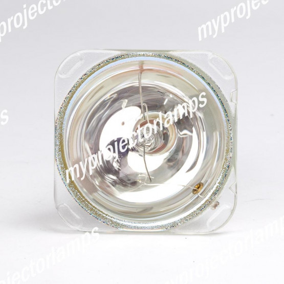 Delta AV2618 Bare Projector Lamp
