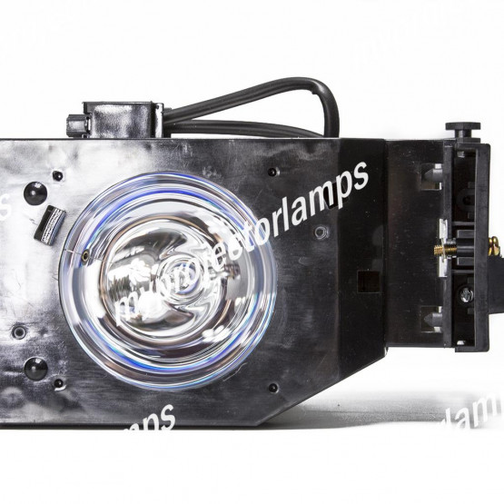 Panasonic PT-50DL54J Projector Lamp with Module