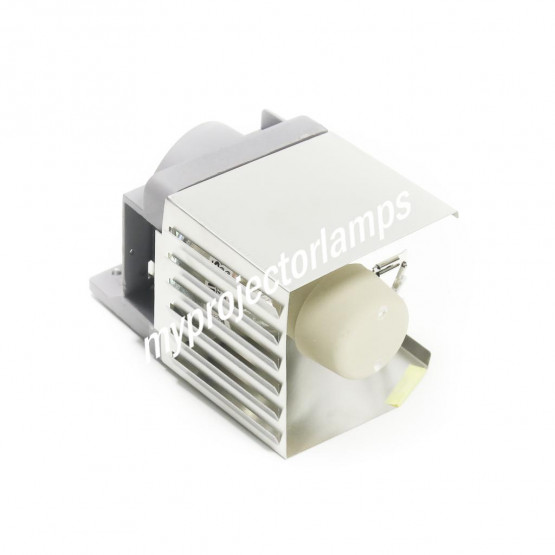 Acer AF312 Projector Lamp with Module