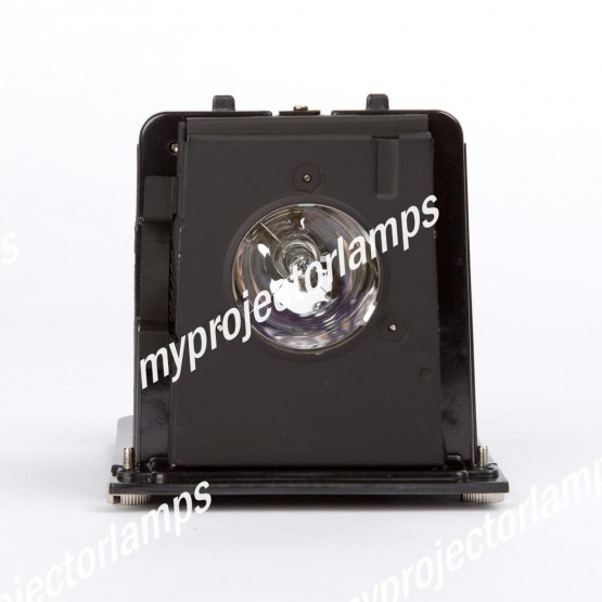 Optoma BL-FU250E / BL-FU250F / SP.L3703.001 Projector Lamp with Module