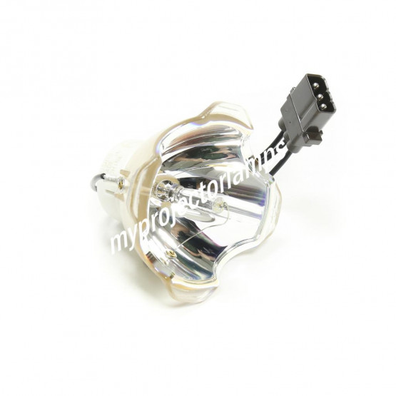 Acto LX8100F Bare Projector Lamp