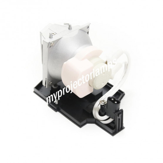 Acer EC.JD500.001 Projector Lamp with Module