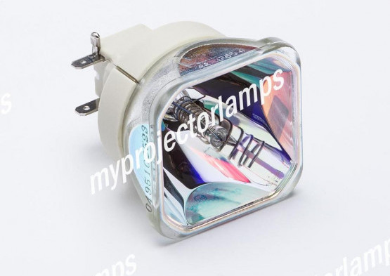 Boxlight SEATTLE X40N Lampe - Projektorbirne