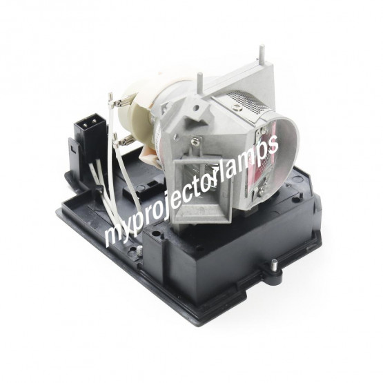Acer P5281 Projector Lamp with Module
