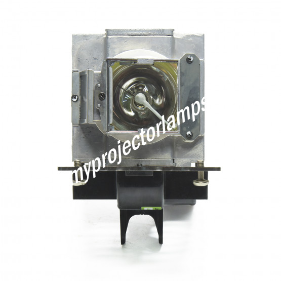 Digital Projection 111-628 (Single Lamp) Projector Lamp with Module