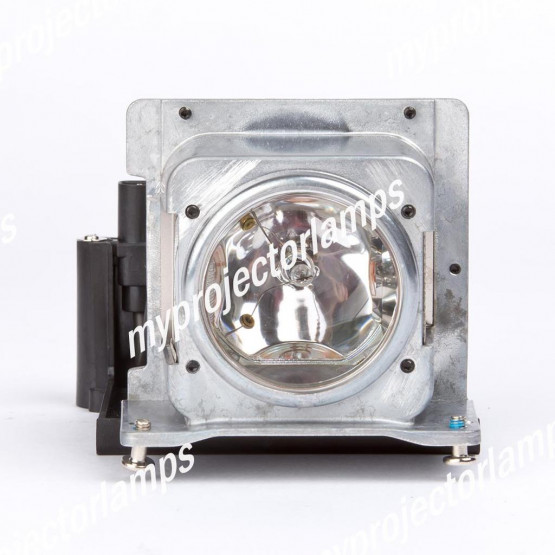 Viewsonic RLC-019 Lampe - Projektorlampe