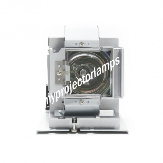 Benq W1300 Projector Lamp with Module