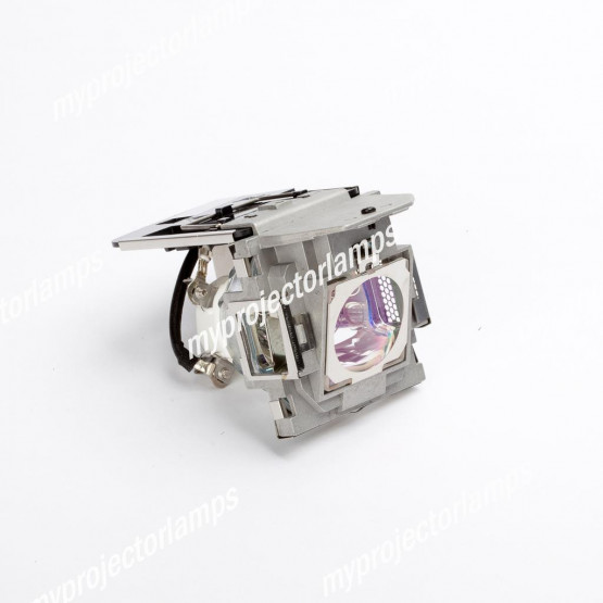 Benq 9E.0CG03.001 Projector Lamp with Module