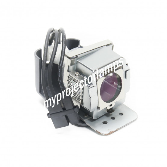 Viewsonic PJ503D Projector Lamp with Module