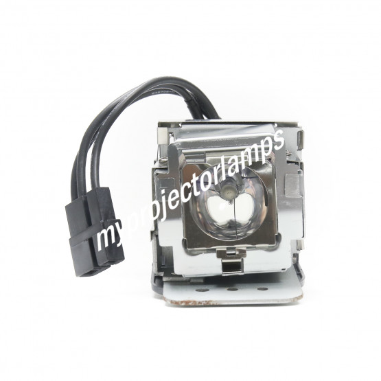 Viewsonic PJ503D Projector Lamp with Module