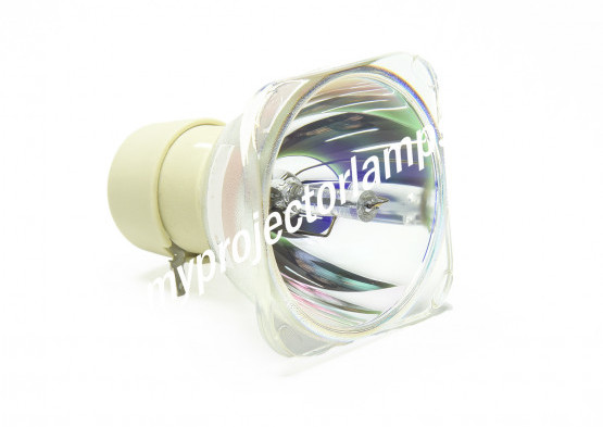 Benq 5J.J5R05.001 Lampe de Projecteur Nue