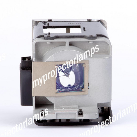 Projector Lamp with Module - MyProjectorLamps USA