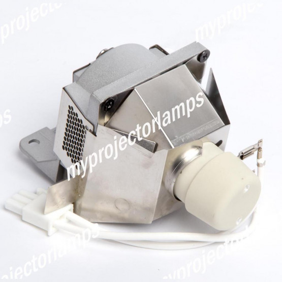 Acer EC.K2700.001 Projector Lamp with Module