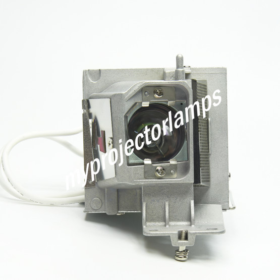Dell P318S Projector Lamp with Module