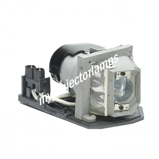 Infocus X20 Projector Lamp with Module