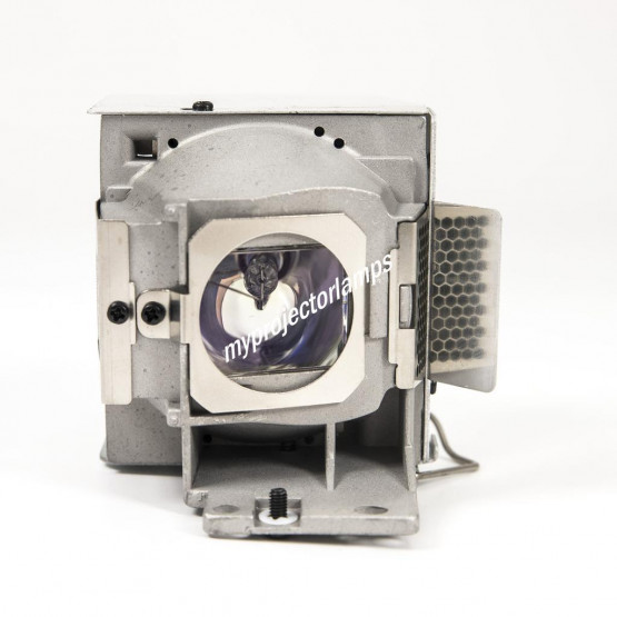 Viewsonic RLC-085 Projector Lamp with Module