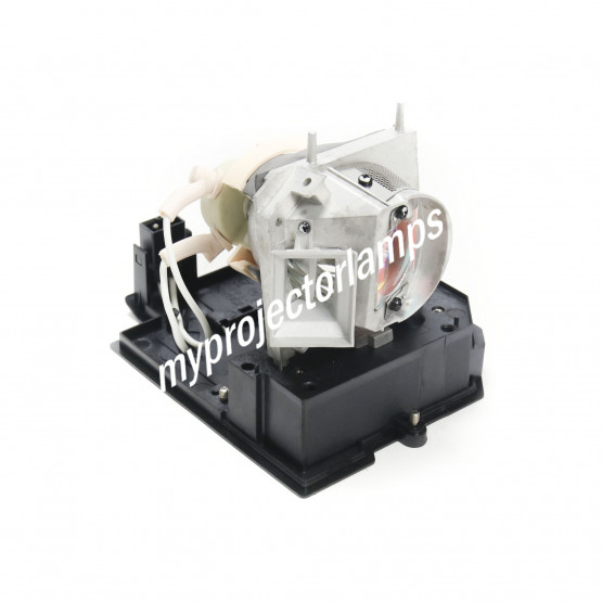 Acer EC.J8700.001 Projector Lamp with Module