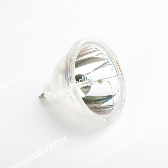 Delta VW7008 (Single Lamp) Bare Projector Lamp