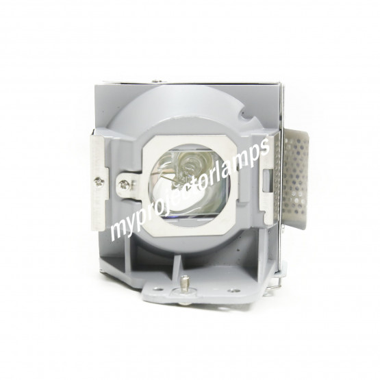 Acer P5207B Projector Lamp with Module