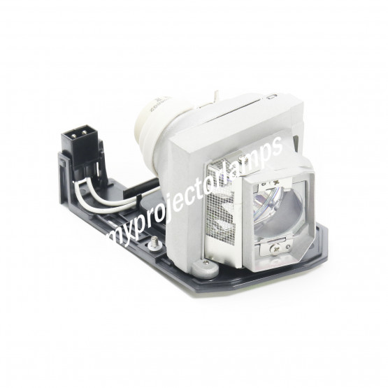 Pro-Gen lamp for OPTOMA SP.8JR03GC01 BL-FU280C with housing