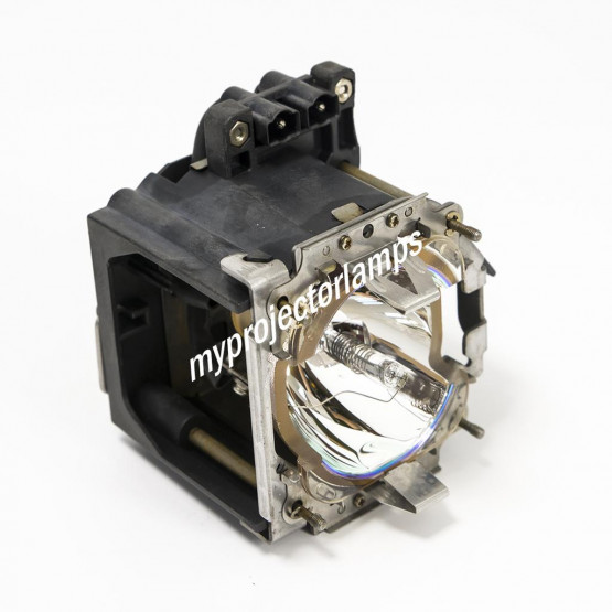 Optoma BL-FP250A Projector Lamp with Module