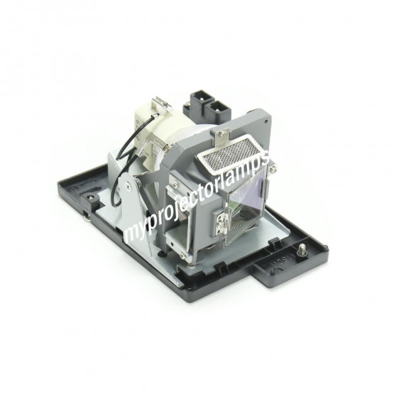 LG DX420 Projector Lamp with Module