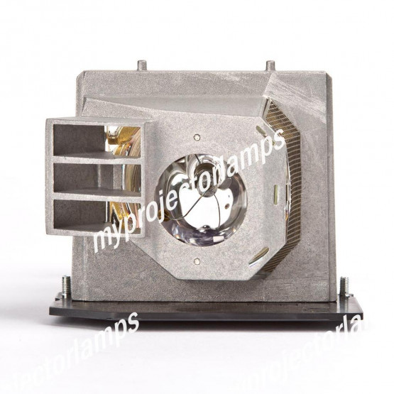 Dell 725-10046 Projector Lamp with Module